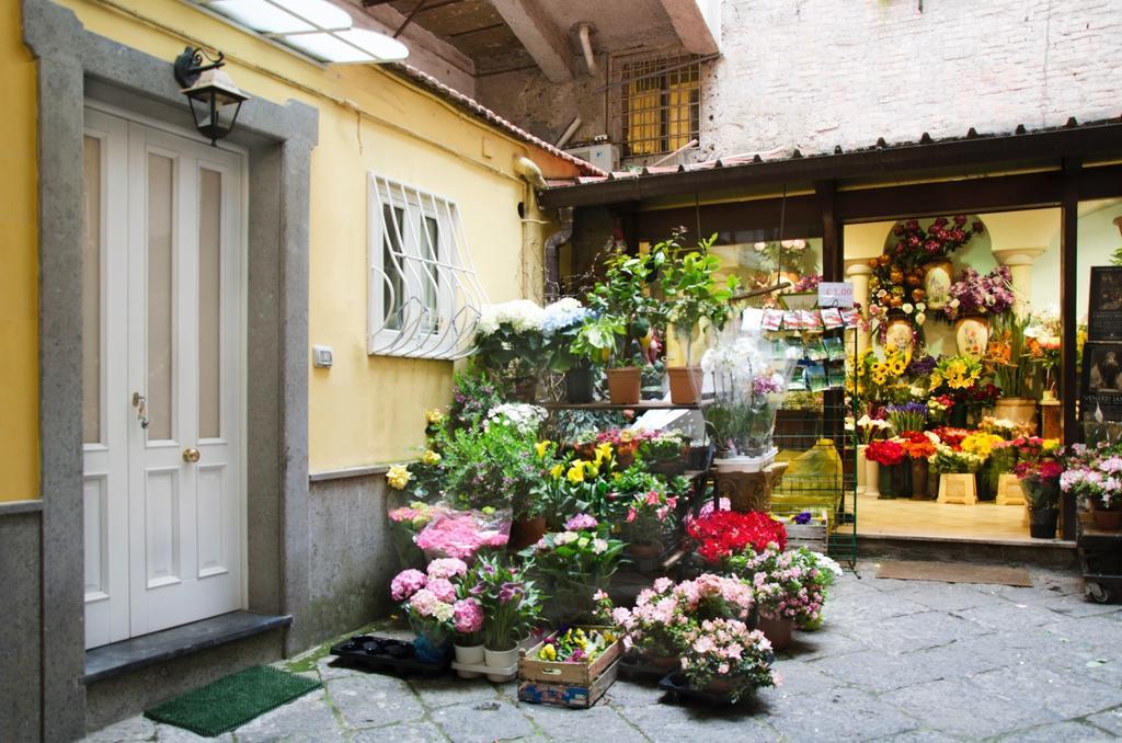 Casa Tonia San Cesareo Lägenhet Sorrento Rum bild